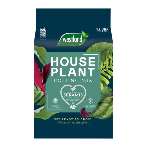 5023377024979 1 Westland Peat Free House Plant Potting Mix 10L.jpg